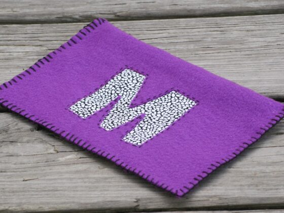 Easy Felt Craft That Can Be Personalized {Great Gift Idea}