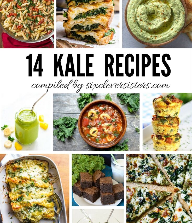 All Kinds of Recipes With Kale