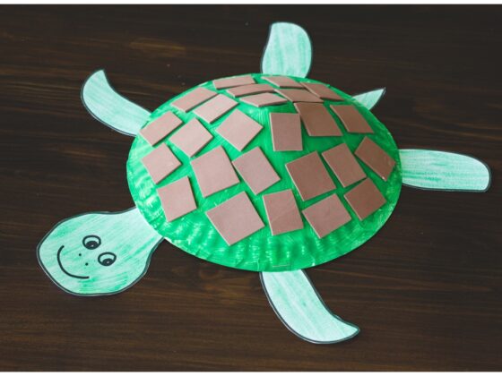 Paper Plate Turtle Craft for Kids (+ Free Printable Template!)