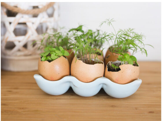 Egg Holder Decoration – Farmhouse Style