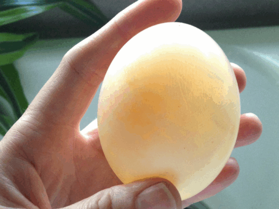 Disappearing Egg Shell Activity