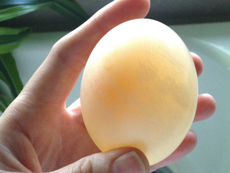 Disappearing Egg Shell Activity