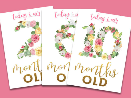 Floral Month Signs for Baby Pictures