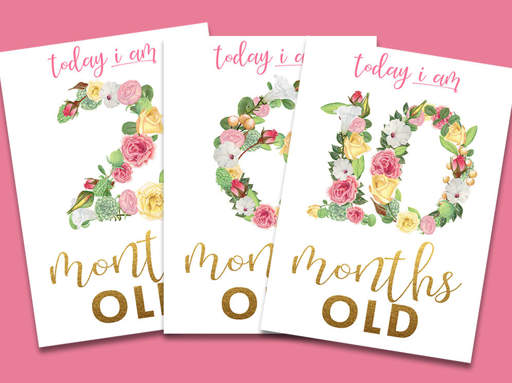 Floral Month Signs for Baby Pictures