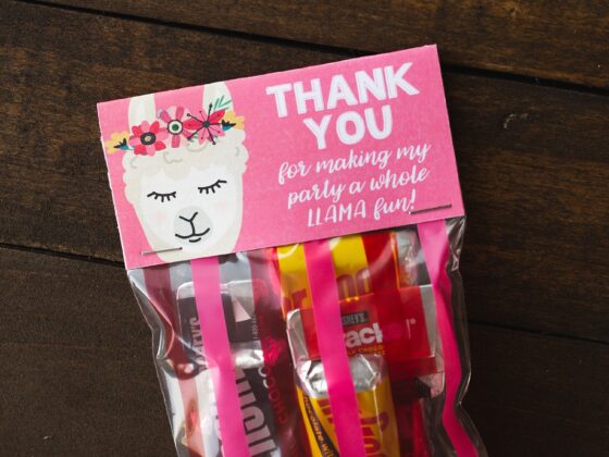 Llama Party Treat Bags (+ Free Printable)