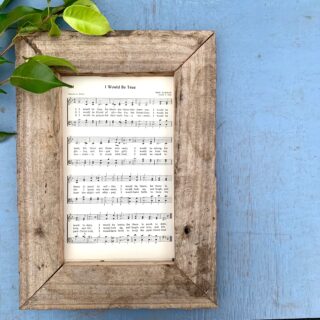 Peppermint Bark Sheet Cake