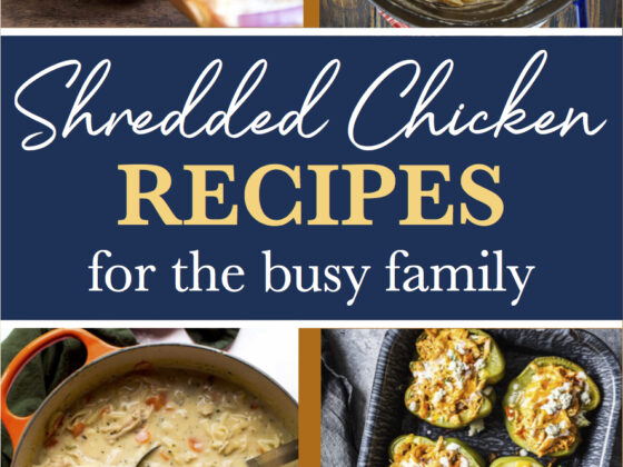 Shredded Chicken Recipes