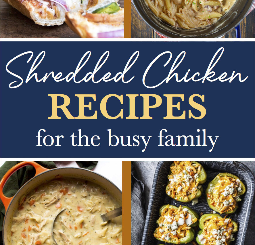 Shredded Chicken Recipes