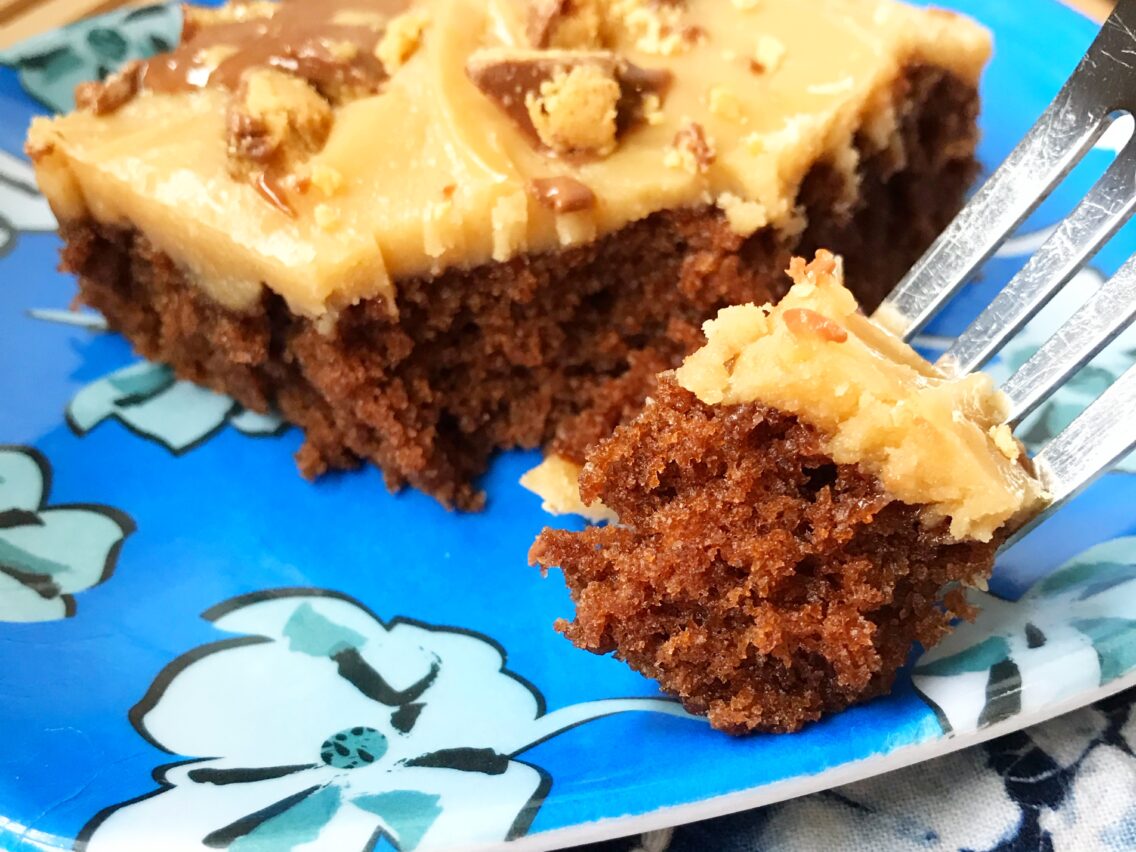 Chocolate Peanut Butter Sheet Cake
