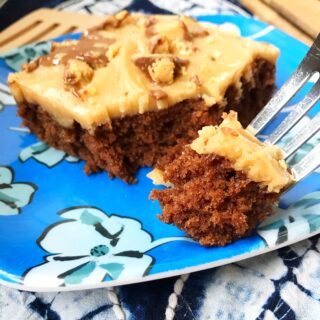 Farmhouse Style Crochet Pillow Free Patterns