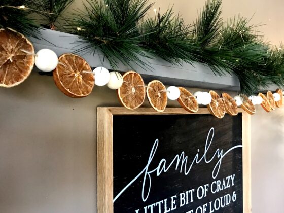 Orange Slice Garland
