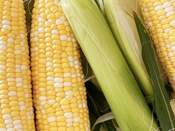 How to Cook Corn on the Cob in the Instant Pot
