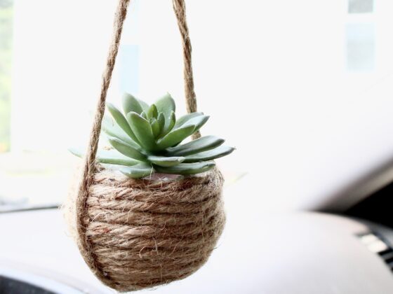 Car Hanging Plant DIY Air Freshener
