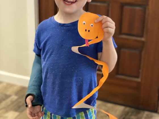 Paper Plate Snake Craft for Kids