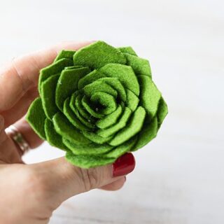 Cute Amazon Baby Finds