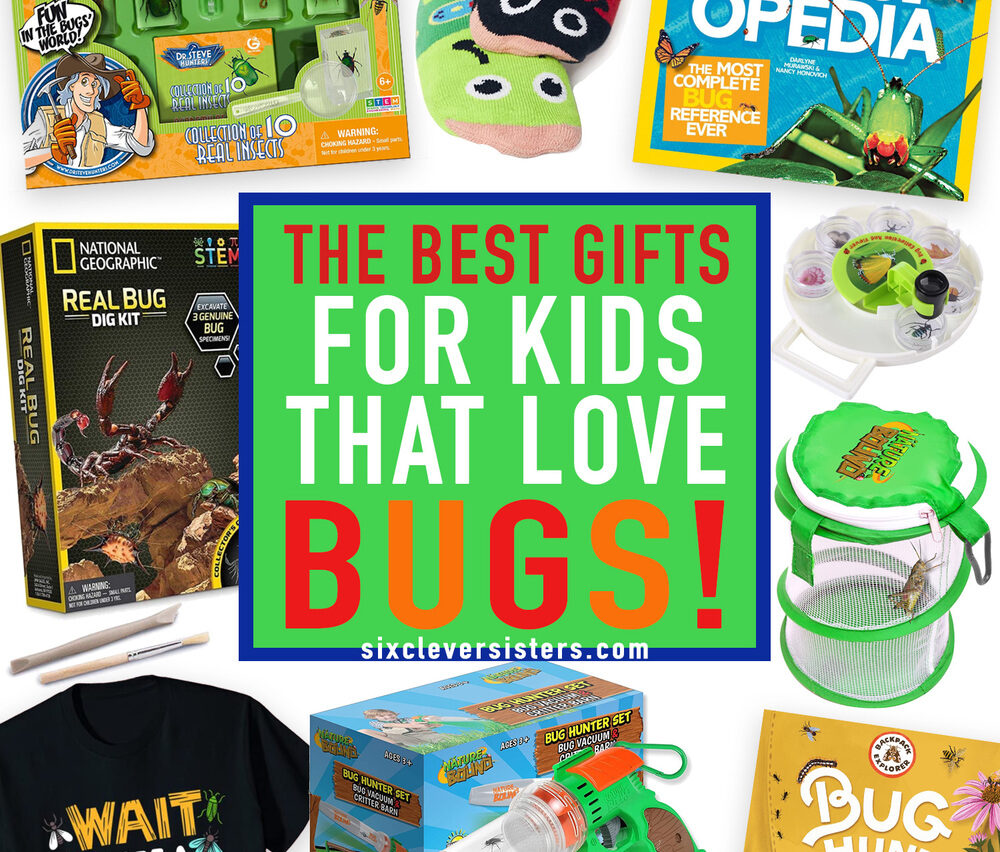 The Best Gifts for Kids that Love Bugs!