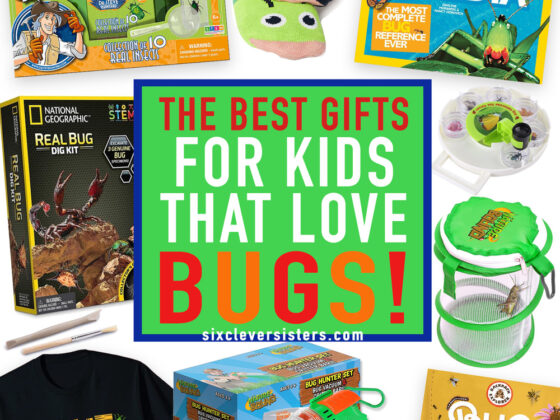 The Best Gifts for Kids that Love Bugs!