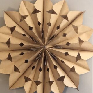 Bridal Shower Lit Tulle Backdrop