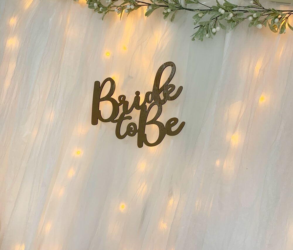 Bridal Shower Lit Tulle Backdrop