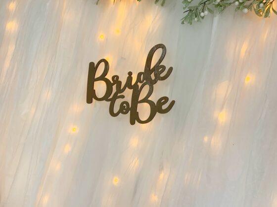 Bridal Shower Lit Tulle Backdrop