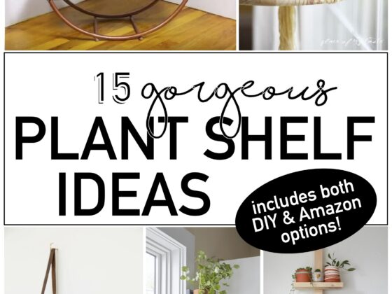 15 Stunning Plant Shelf Ideas That Will Make Your Home Look Greener