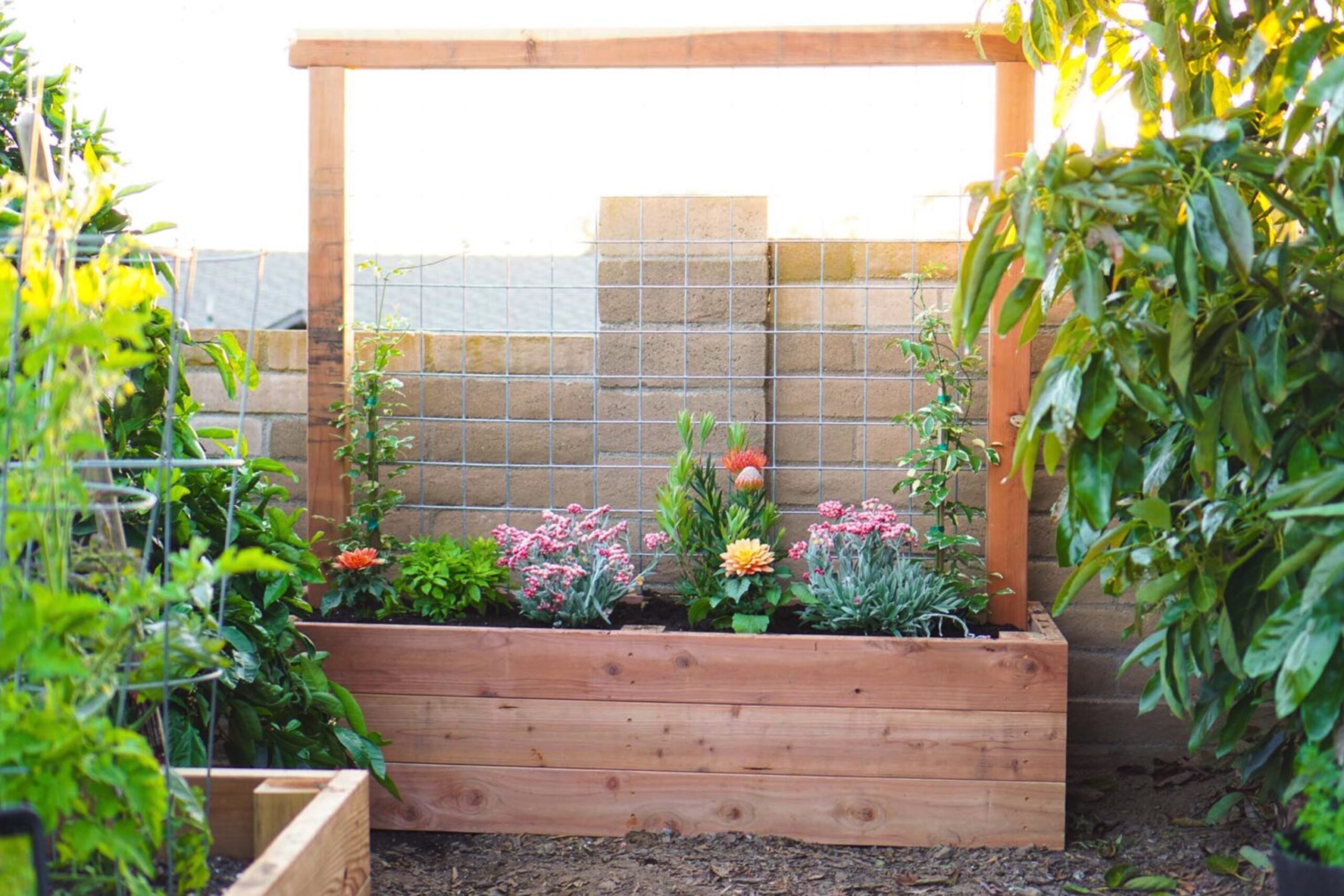 How to Build Easy, Inexpensive Raised Garden Beds