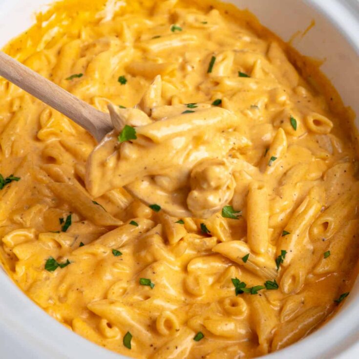 Crockpot Chicken Recipe | Crockpot Chicken Recipes Easy | Easy Crockpot Chicken Recipe | Best Crockpot Chicken Recipe | Slow Cooker Chicken Recipes Easy | Easy Slow Cooker Chicken Recipe | Here you will find loads of great crockpot chicken recipes that you will want to make! They're such great tasty crockpot chicken recipes to get dinner on the table with the ease of having the crockpot do the work! #crockpot #chicken #slowcooker #chickenrecipe #chickenrecipes #easyrecipes #recipeoftheday