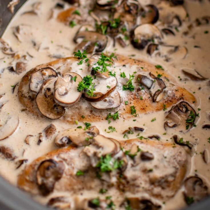 Crockpot Chicken Recipe | Crockpot Chicken Recipes Easy | Easy Crockpot Chicken Recipe | Best Crockpot Chicken Recipe | Slow Cooker Chicken Recipes Easy | Easy Slow Cooker Chicken Recipe | Here you will find loads of great crockpot chicken recipes that you will want to make! They're such great tasty crockpot chicken recipes to get dinner on the table with the ease of having the crockpot do the work! #crockpot #chicken #slowcooker #chickenrecipe #chickenrecipes #easyrecipes #recipeoftheday
