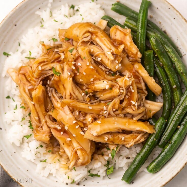 Crockpot Chicken Recipe | Crockpot Chicken Recipes Easy | Easy Crockpot Chicken Recipe | Best Crockpot Chicken Recipe | Slow Cooker Chicken Recipes Easy | Easy Slow Cooker Chicken Recipe | Here you will find loads of great crockpot chicken recipes that you will want to make! They're such great tasty crockpot chicken recipes to get dinner on the table with the ease of having the crockpot do the work! #crockpot #chicken #slowcooker #chickenrecipe #chickenrecipes #easyrecipes #recipeoftheday