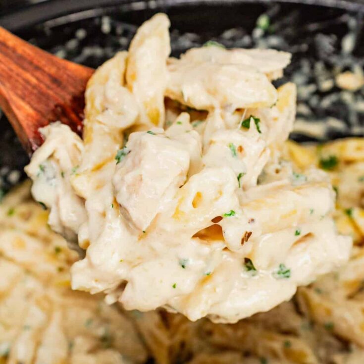 Crockpot Chicken Recipe | Crockpot Chicken Recipes Easy | Easy Crockpot Chicken Recipe | Best Crockpot Chicken Recipe | Slow Cooker Chicken Recipes Easy | Easy Slow Cooker Chicken Recipe | Here you will find loads of great crockpot chicken recipes that you will want to make! They're such great tasty crockpot chicken recipes to get dinner on the table with the ease of having the crockpot do the work! #crockpot #chicken #slowcooker #chickenrecipe #chickenrecipes #easyrecipes #recipeoftheday