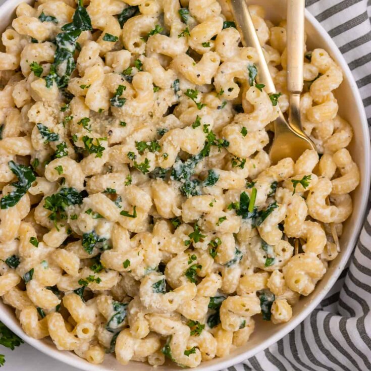 Pasta Side Dishes | Easy Pasta Side Dishes | Best Pasta Side Dishes | Best Pasta Side Dishes | Healthy Pasta Side Dishes | Warm Pasta Side Dishes | Make Ahead Pasta Side Dishes | Pasta Side Dishes BBQ | Baked Pasta Side Dishes | Looking for a pasta side to compliment a meal? This compilation of pasta side dishes has a great variety of pasta side dishes to choose from. #pasta #sidedish #recipe #recipeoftheday #easyside
