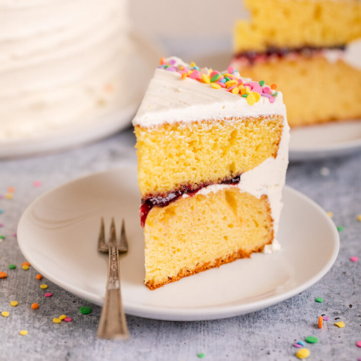 Doctored Cake Mix | How to Make a Boxed Cake Mix Better | Boxed Cake Mix Recipe | Learn how to make amazing desserts starting with a boxed cake mix! SixCleverSisters.com