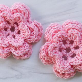 Beautiful 12-Point Star Round Knit Dishcloth