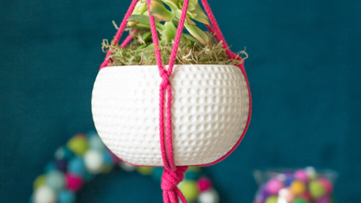 Image for Plant Hanger #4