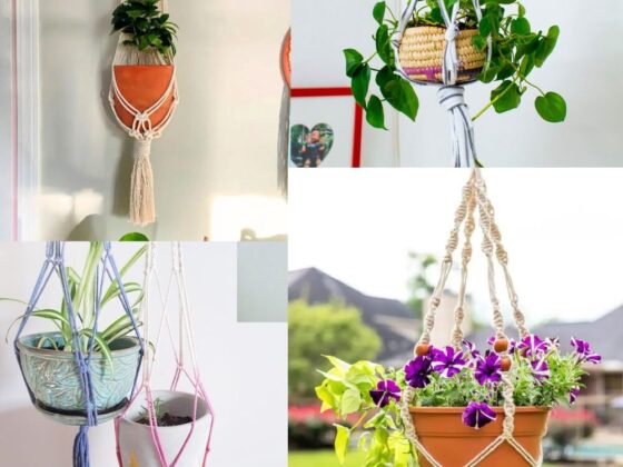 20 Free Macrame Plant Hanger Patterns