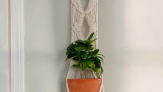 Image for Plant Hanger #2