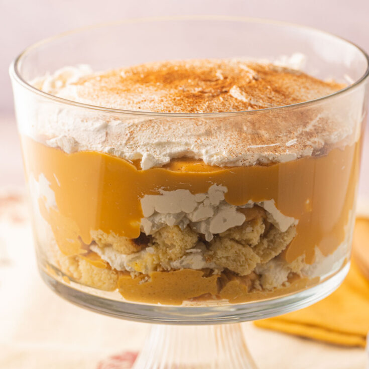 Low Carb Pumpkin Dessert Recipes | Low Carb Pumpkin Dessert Recipes Easy | Low Calorie Low Carb Pumpkin Dessert |Pumpkin Dessert Recipes Low Calorie | Easy Low Carb Pumpkin Desserts | Best Low Carb Pumpkin Desserts | Looking for that amazing pumpkin dessert recipe without all the calories and sugar? These wonderful recipes will give you the pumpkin dessert fix you want but still low in calories, low carb, and tastes good! #pumpkin #dessert #lowcalorie #pumpkindessert #lowcarb