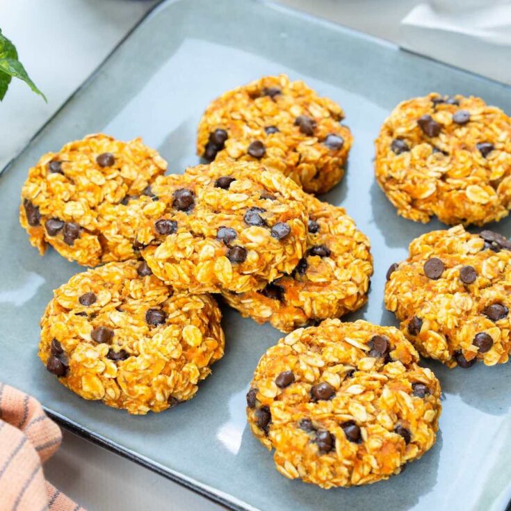Low Carb Pumpkin Dessert Recipes | Low Carb Pumpkin Dessert Recipes Easy | Low Calorie Low Carb Pumpkin Dessert |Pumpkin Dessert Recipes Low Calorie | Easy Low Carb Pumpkin Desserts | Best Low Carb Pumpkin Desserts | Looking for that amazing pumpkin dessert recipe without all the calories and sugar? These wonderful recipes will give you the pumpkin dessert fix you want but still low in calories, low carb, and tastes good! #pumpkin #dessert #lowcalorie #pumpkindessert #lowcarb