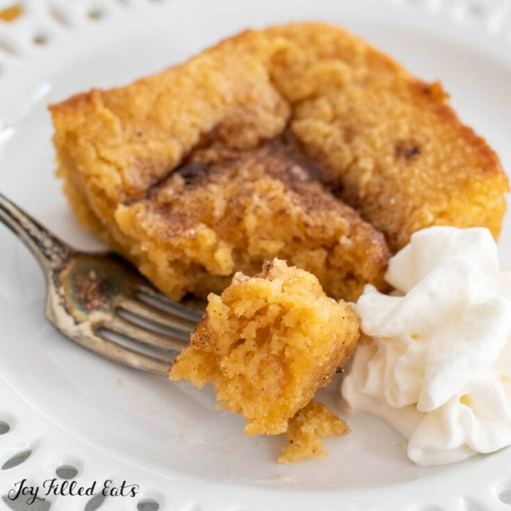 Low Carb Pumpkin Dessert Recipes | Low Carb Pumpkin Dessert Recipes Easy | Low Calorie Low Carb Pumpkin Dessert |Pumpkin Dessert Recipes Low Calorie | Easy Low Carb Pumpkin Desserts | Best Low Carb Pumpkin Desserts | Looking for that amazing pumpkin dessert recipe without all the calories and sugar? These wonderful recipes will give you the pumpkin dessert fix you want but still low in calories, low carb, and tastes good! #pumpkin #dessert #lowcalorie #pumpkindessert #lowcarb