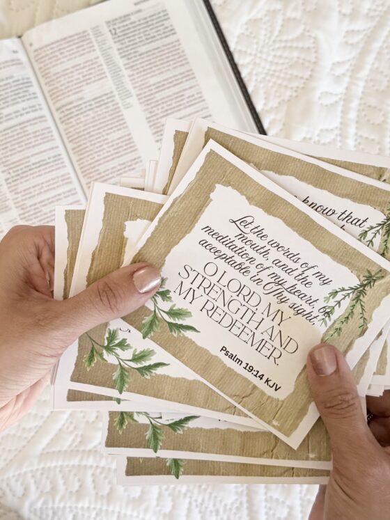 Free Printable Pretty Bible Memory Verse Cards (48 Pack PDF Download)
