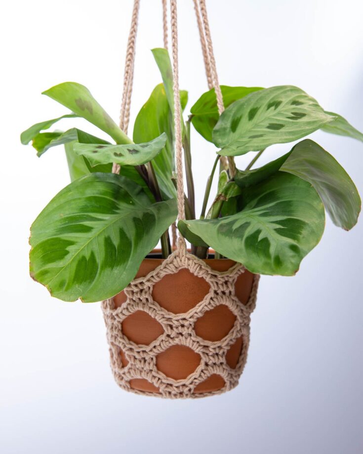 Image for Plant Hanger Pattern