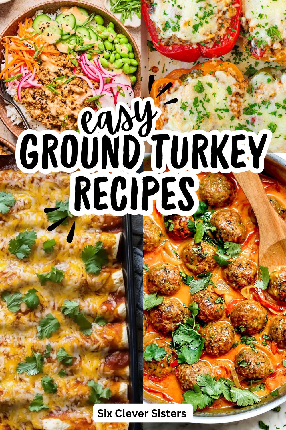 easy ground turkey recipes (instead of ground beef)