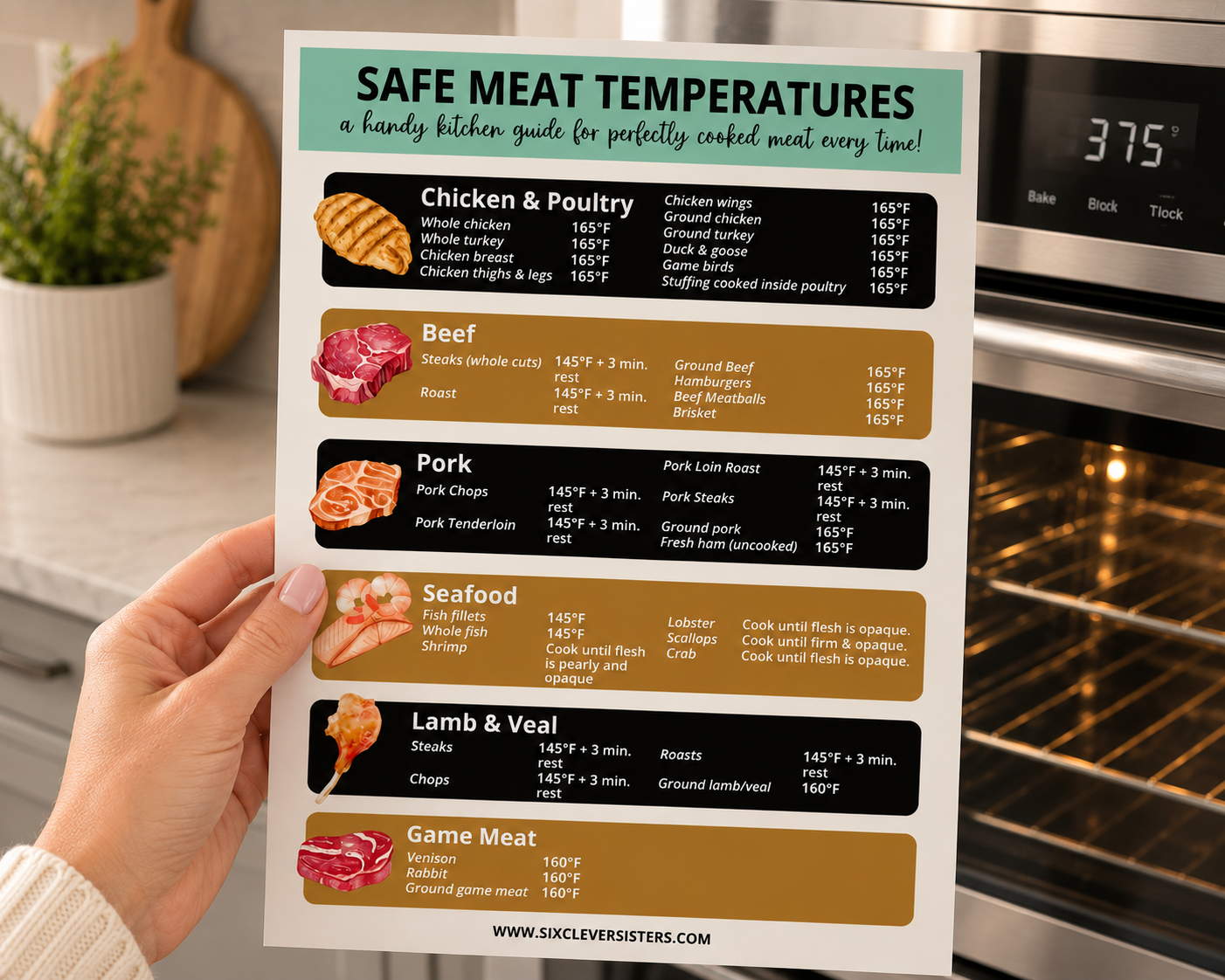 meat temp chart printable free