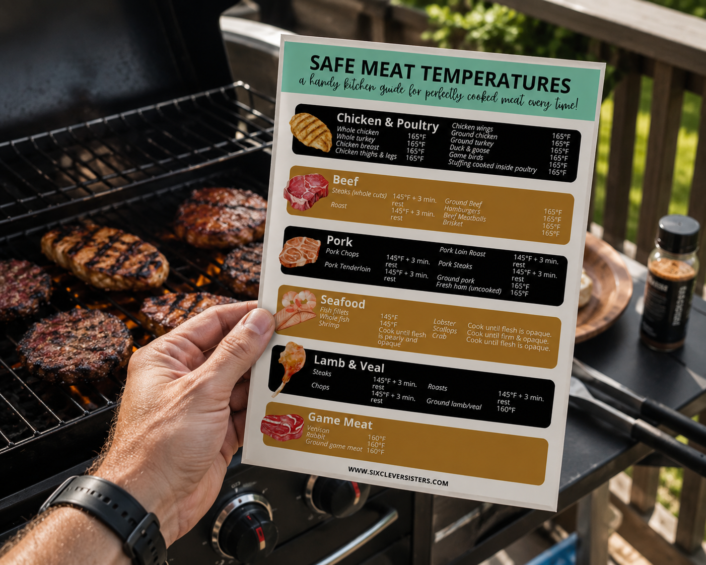 free printable meat temperature chart