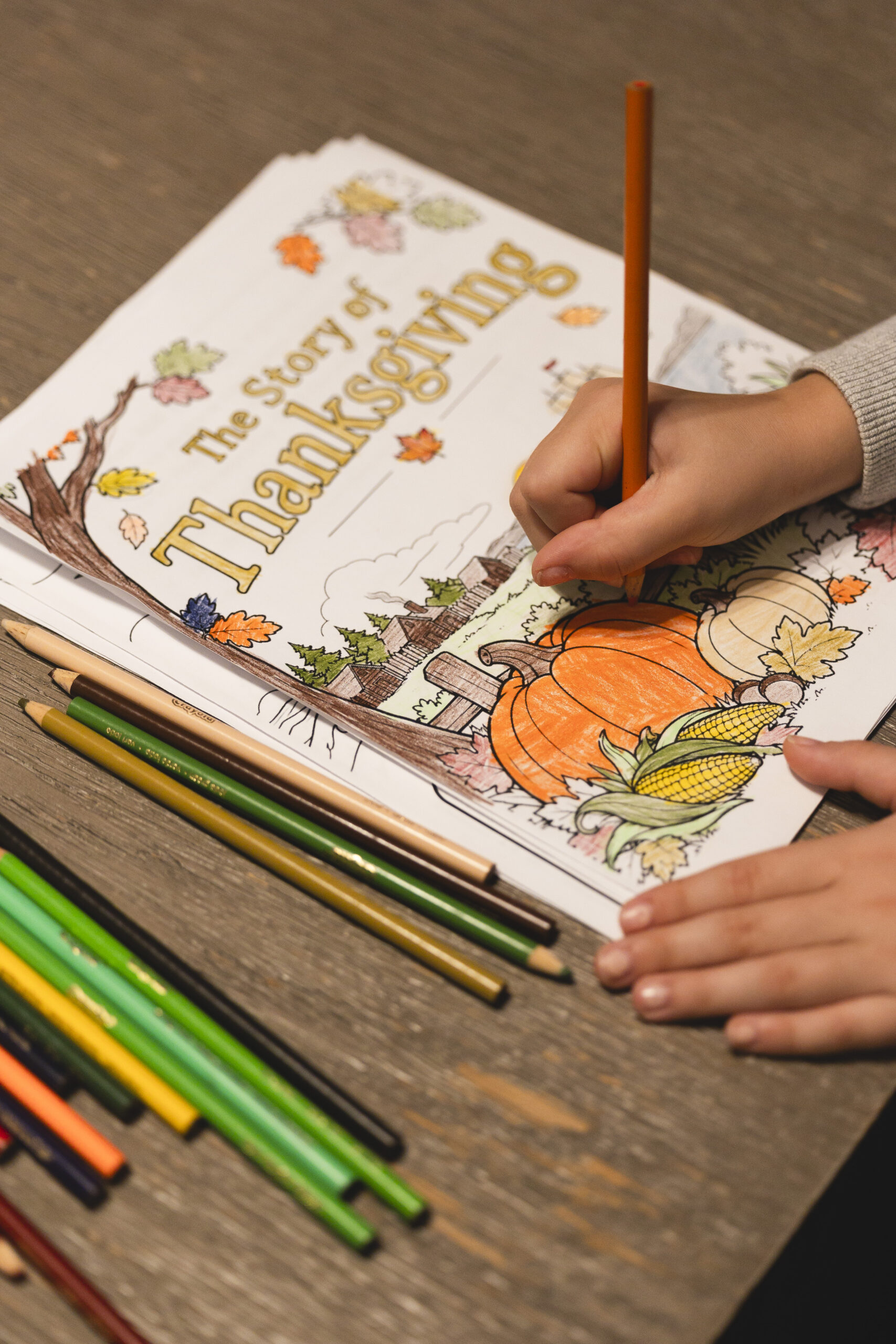 free printable story of thanksgiving coloring PDF, free printable story of thanksgiving coloring booklet, Story of Thanksgiving for Kids – Free Printable Coloring Book